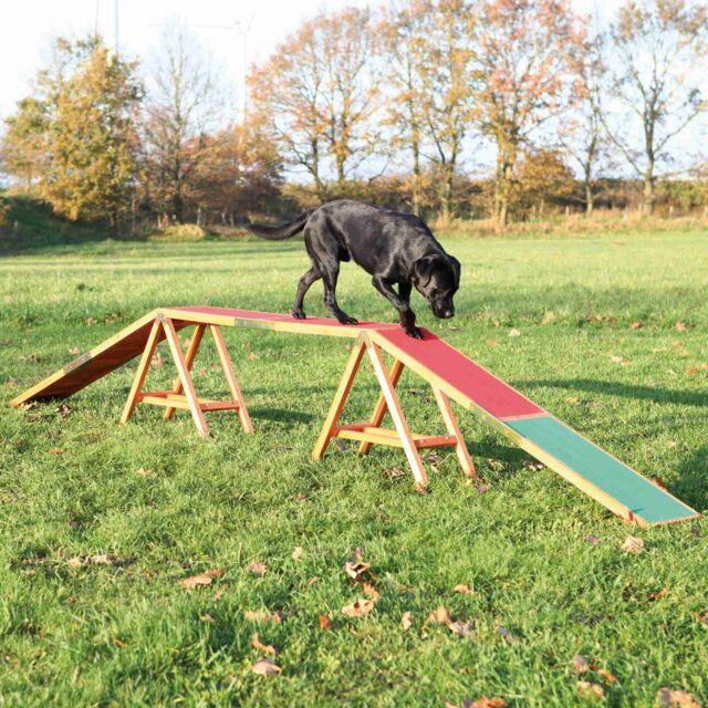 Fun Agility dogwalk - North East Pet Shop Trixie