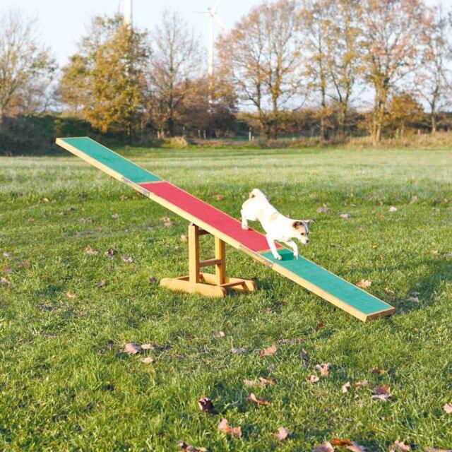 Fun Agility seesaw - North East Pet Shop Trixie