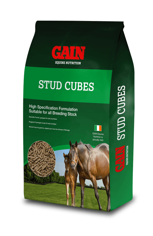 Gain Stud Cubes - North East Pet Shop Gain