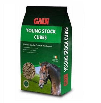 Gain Youngstock Cubes - North East Pet Shop Gain