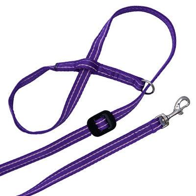 Gencon All In1 Clip to Collar LeftPurple - North East Pet Shop Gencon