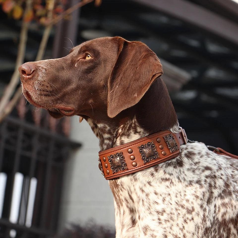 Genuine Leather Classic Collar - North East Pet Shop North East Pet Shop 