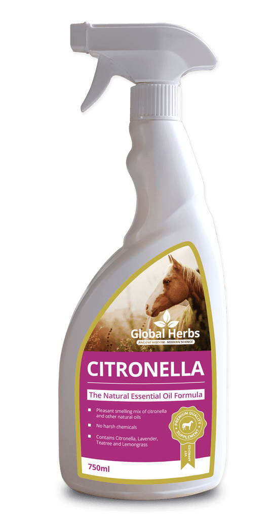 Global H Citronella Spray - North East Pet Shop Global Herbs