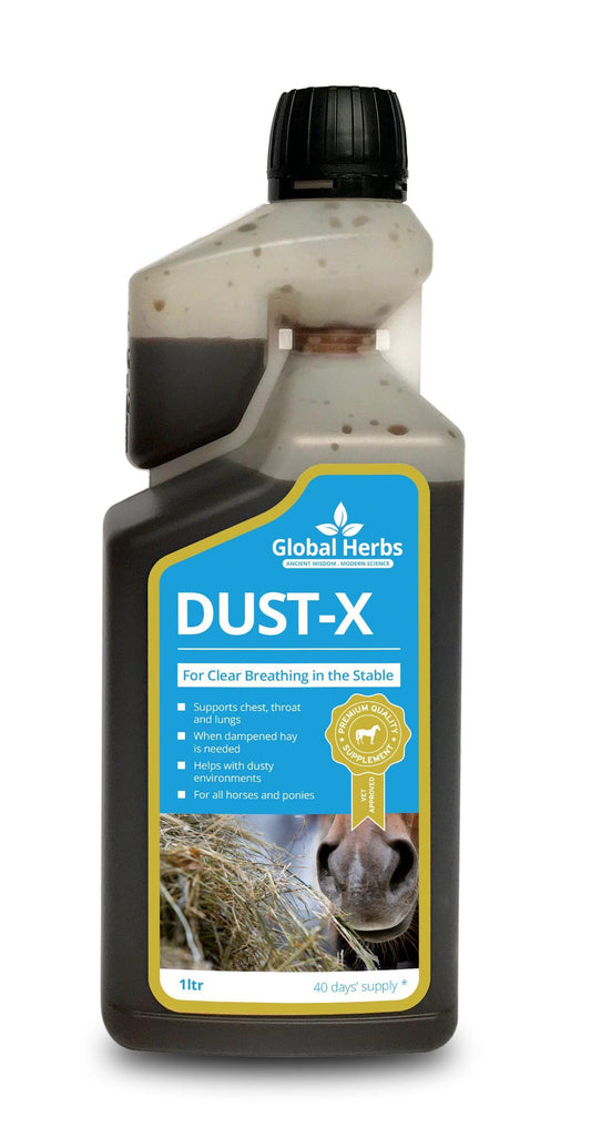 Global H Dust-X Syrup - North East Pet Shop Global Herbs