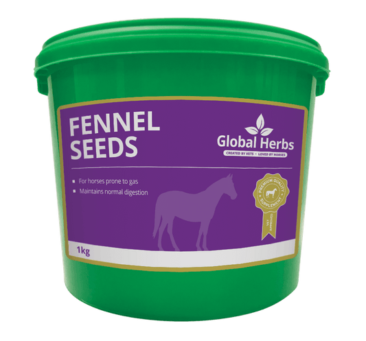 Global H Fennel - North East Pet Shop Global Herbs