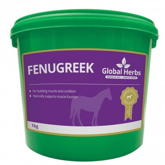Global H Fenugreek - North East Pet Shop Global Herbs