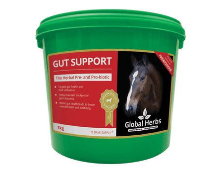Global H Gut Support - North East Pet Shop Global Herbs