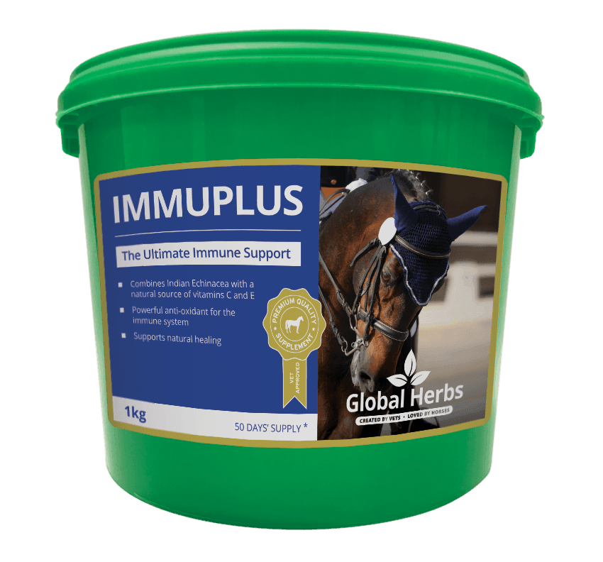 Global H Immu Plus - North East Pet Shop Global Herbs