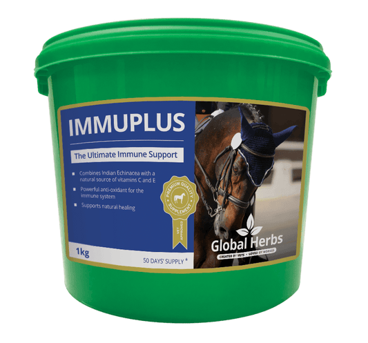Global H Immu Plus - North East Pet Shop Global Herbs