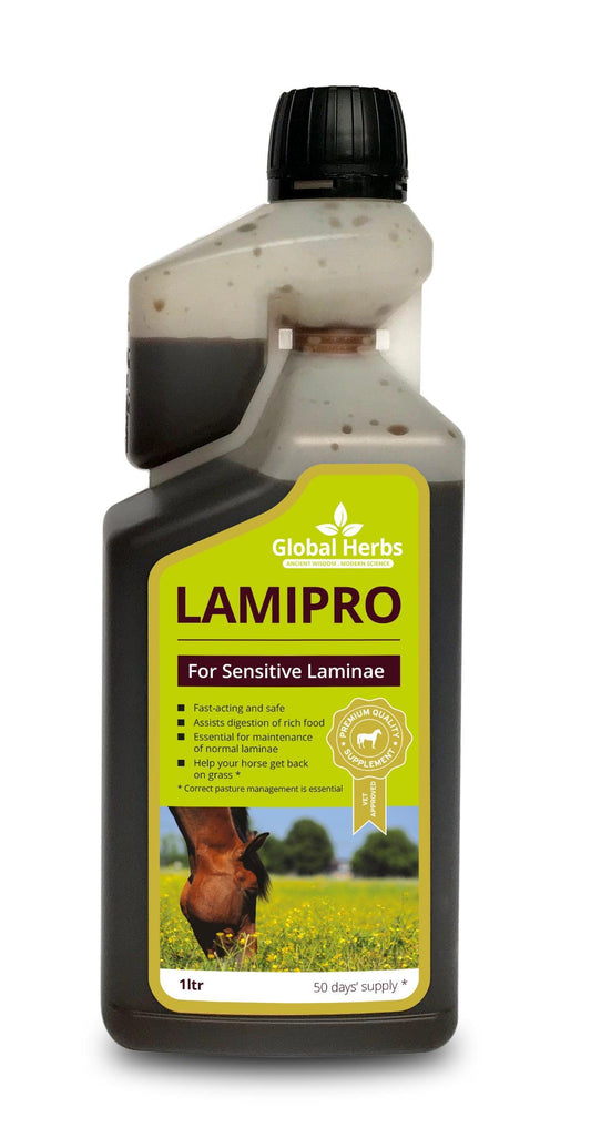 Global H LamiPro Liquid - North East Pet Shop Global Herbs