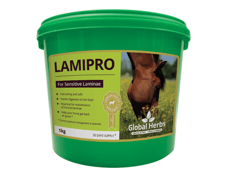 Global H LamiPro - North East Pet Shop Global Herbs