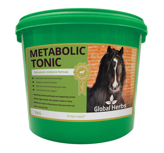 Global H Metabolic Tonic - North East Pet Shop Global Herbs