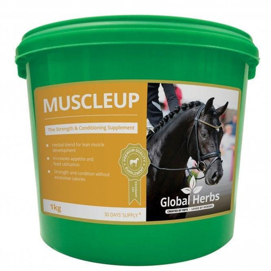 Global H Muscle Up - North East Pet Shop Global Herbs