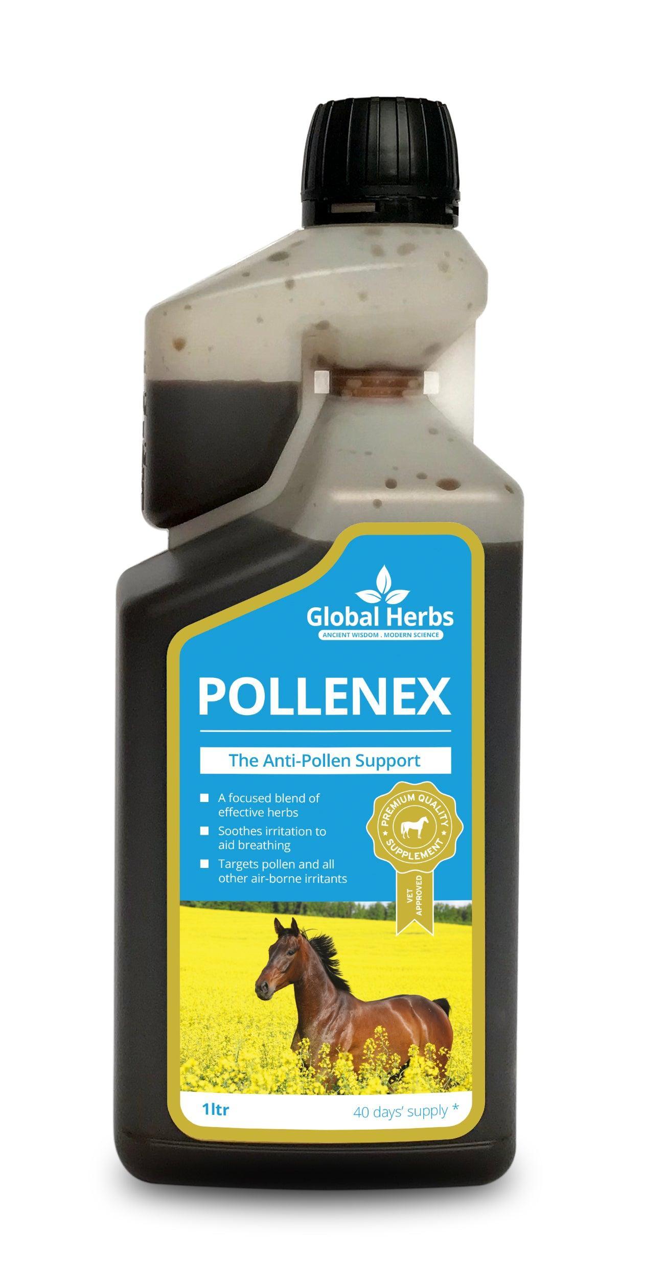 Global H Pollene X Syrup - North East Pet Shop Global Herbs