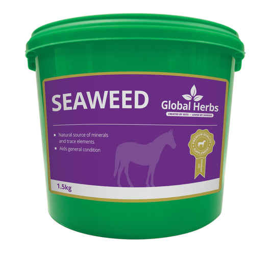 Global H Seaweed - North East Pet Shop Global Herbs