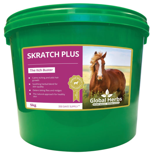 Global H Skratch Plus - North East Pet Shop Global Herbs