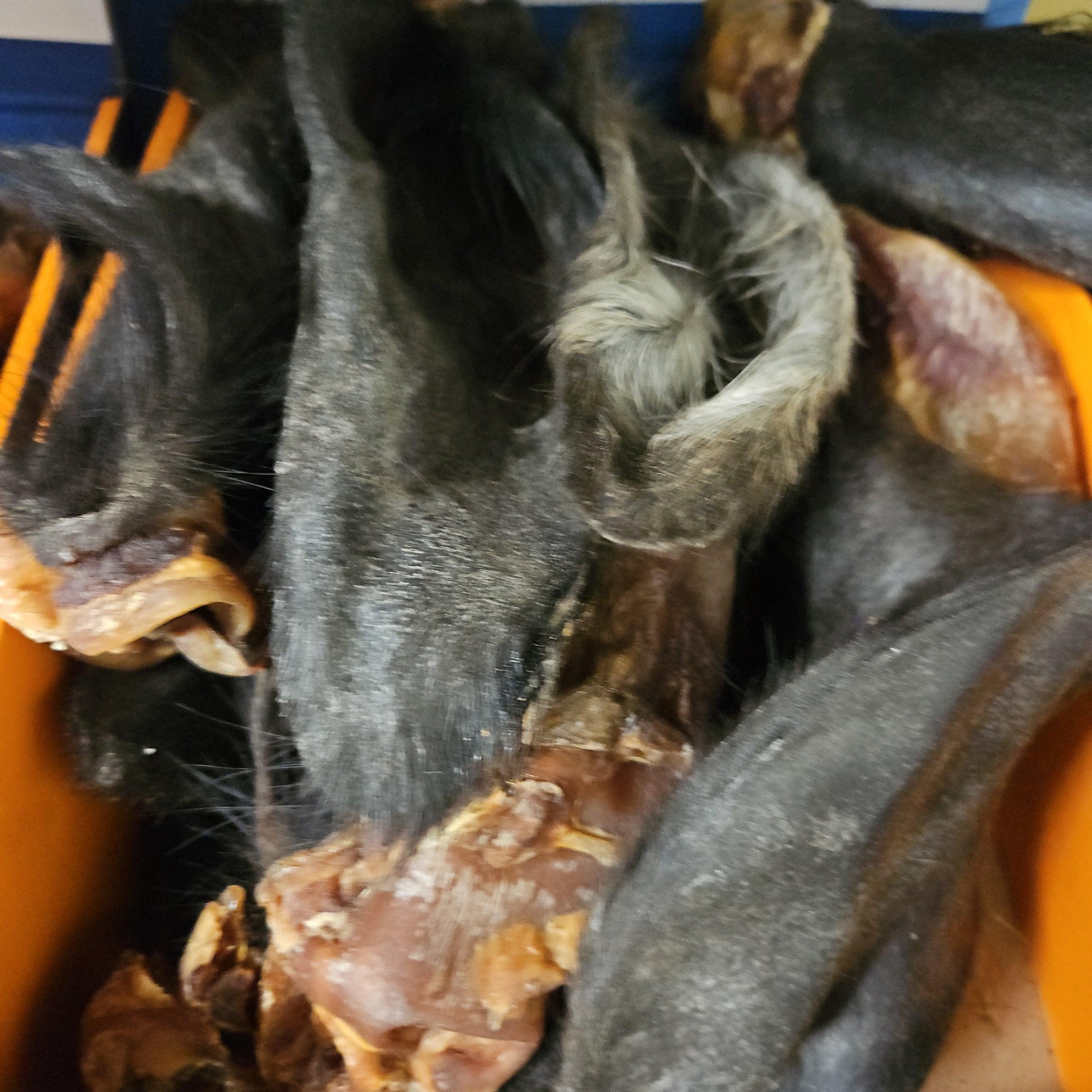 Hairy Buffalo Ears - North East Pet Shop Dog Shack UK