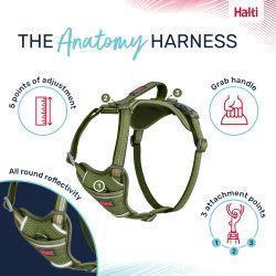 Halti Anatomy Harness Green - North East Pet Shop Halti