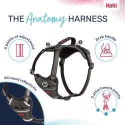 Halti Anatomy Harness Grey - North East Pet Shop Halti