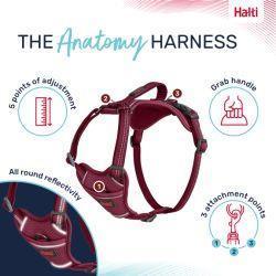 Halti Anatomy Harness Pink - North East Pet Shop Halti