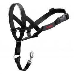 HALTI Headcollar - Black - North East Pet Shop Halti
