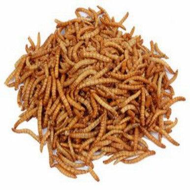 Harrisons Mealworms Bulk 10kg - North East Pet Shop Harrisons