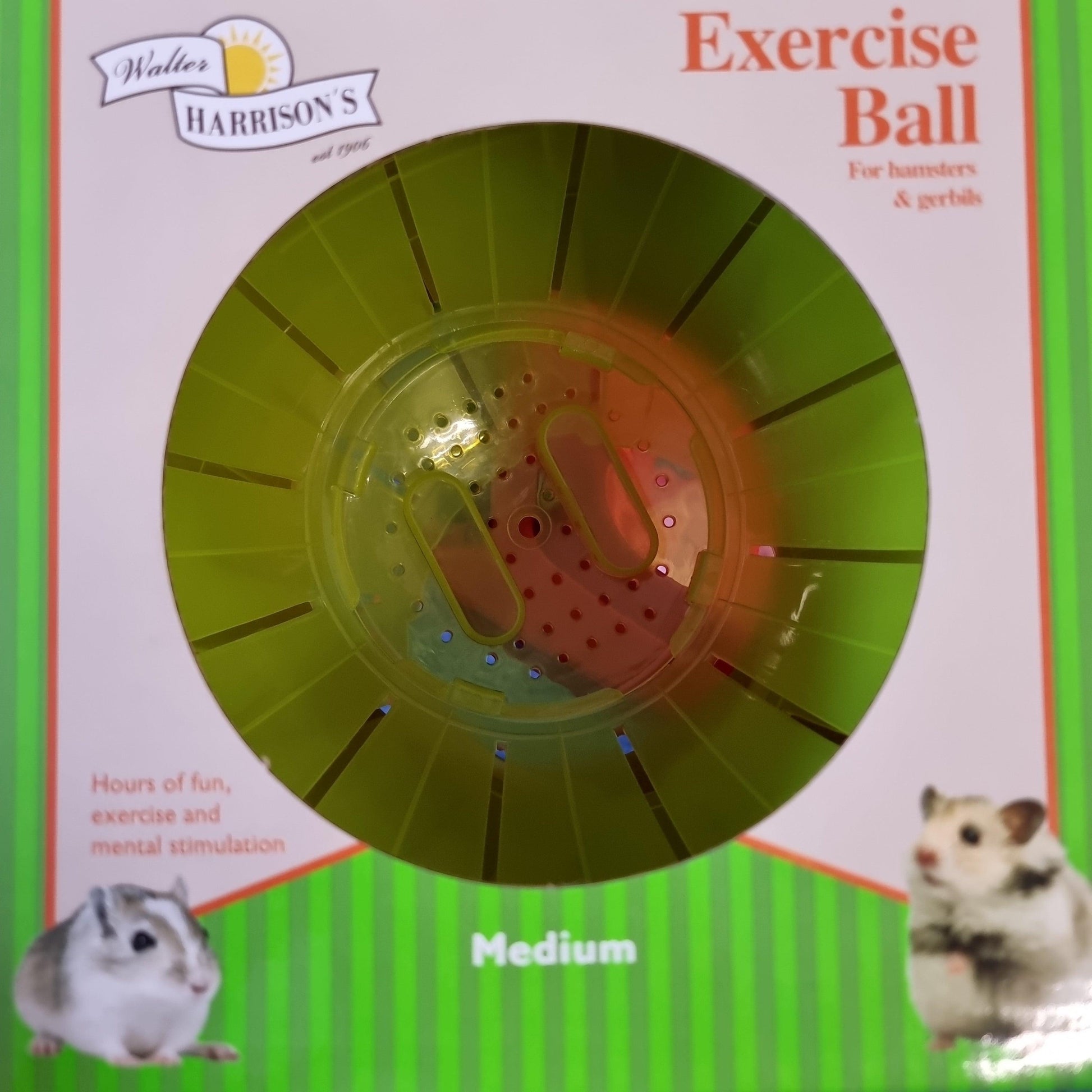 Harrisons Small Animal Exercise Ball - North East Pet Shop Walter Harrisons