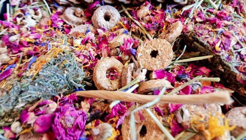 Hebburn Bunnies - Rabbit Grooming - North East Pet Shop North East Pet Shop