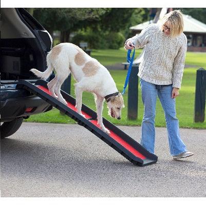 Henry Wag Pet Folding Ramp Lightweight - North East Pet Shop Henry Wag