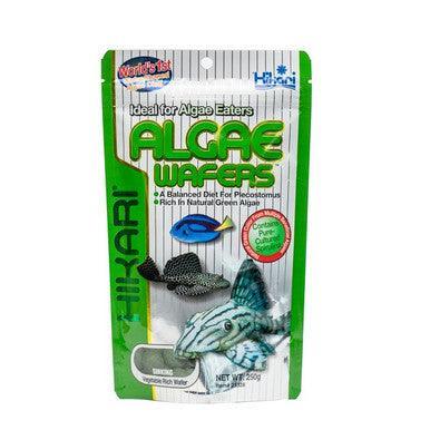 Hikari Algae Wafers [SNG] 250g - North East Pet Shop Hikari