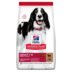 HILL'S SCIENCE PLAN Adult Medium Dry Dog Food Lamb & Rice, 2.5kg - North East Pet Shop Hill's