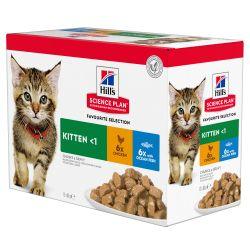 Hill's Science Plan Kitten Wet Food Multipack Chicken & Ocean Fish Flavour, 85g - North East Pet Shop Hill's