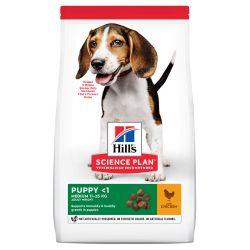 HILL'S SCIENCE PLAN Puppy Medium Dry Dog Food Chicken, 14kg - North East Pet Shop Hill's