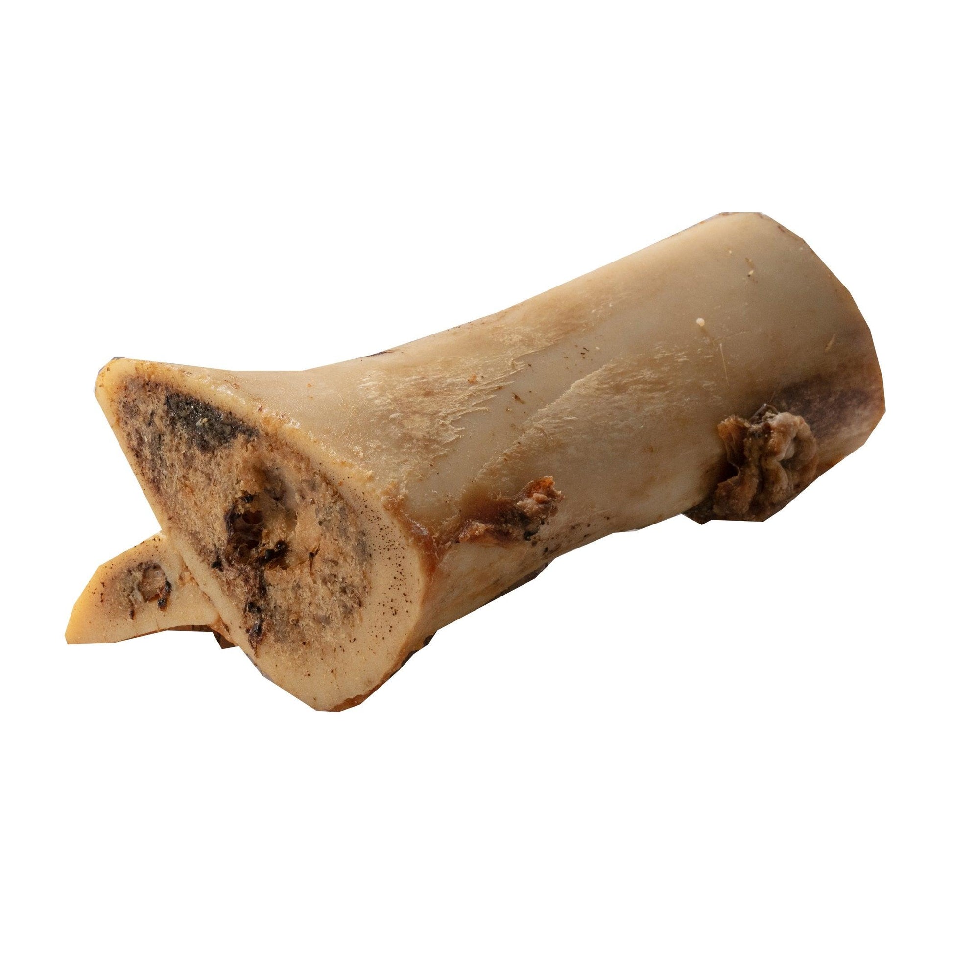 Hollings Maxi Roast Bone x 10 - North East Pet Shop Hollings