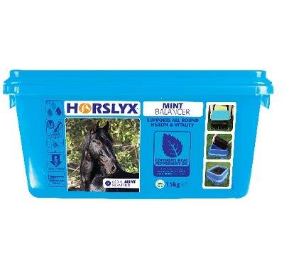 Horslyx Mint Lick 15kg - North East Pet Shop Horslyx