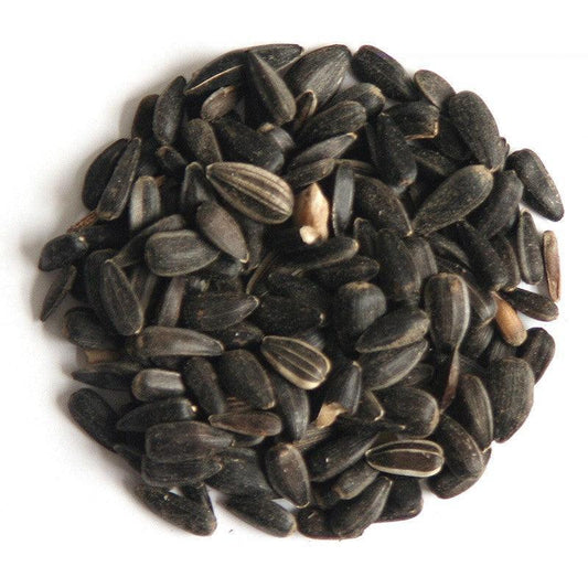 Hutton Mill Black Sunflower Seed - North East Pet Shop Sunflower