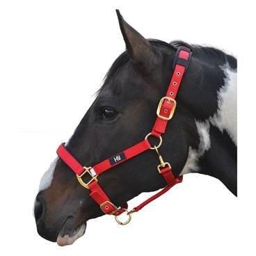 Hy Deluxe Padded Head Collar Red Pony - North East Pet Shop Hy