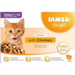 Iams Delights Kitten Food With Chicken In Gravy 12x85g - North East Pet Shop Iams