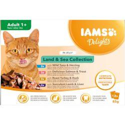 Iams Delights Pouches Land & Sea in Jelly 12x85g - North East Pet Shop Iams