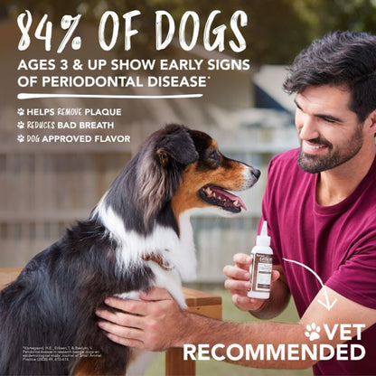 KONG TropiClean Enticers Teeth Cleaning Gel Variety Pack for KONG Dental Ball