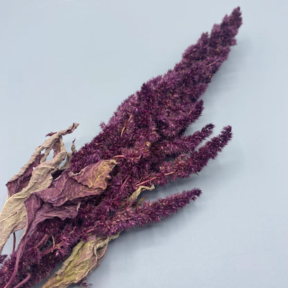 Red Amaranth Sprays