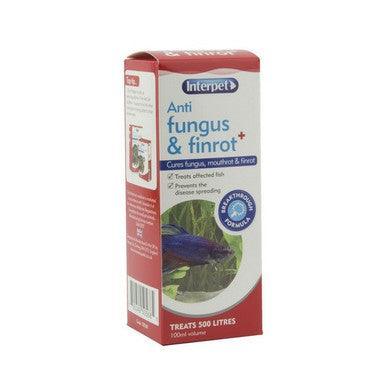 Interpet Treat Anti Fungus & Finrot Plus 100ml - North East Pet Shop Interpet