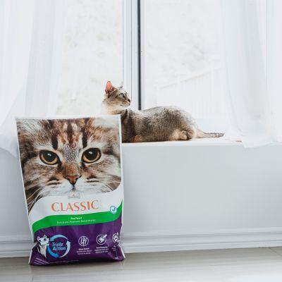 Intersand Classic Forest Pine 14kg - North East Pet Shop Intersand