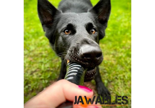 JAWABLES TOUGH BATON - North East Pet Shop Ancol