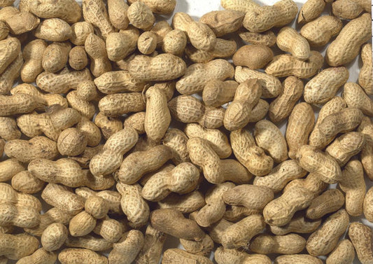 JJ Monkey Nuts in Shells 6x650g - North East Pet Shop Peanuts