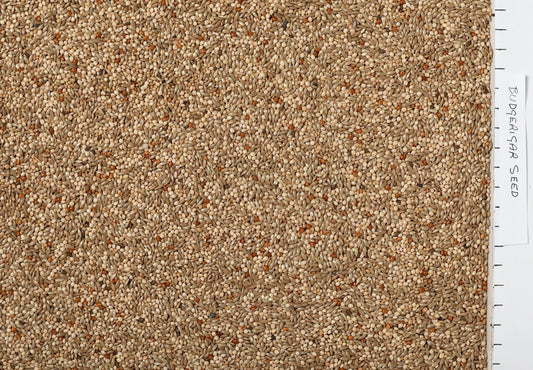 Johnston & Jeff Budgerigar Seed - North East Pet Shop Johnston & Jeff