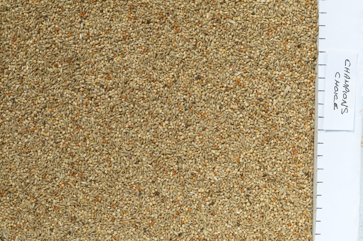 Johnston & Jeff Champions Choice Budgieseed - North East Pet Shop Johnston & Jeff