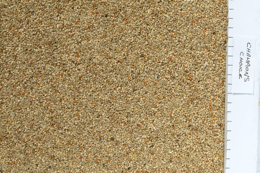 Johnston & Jeff Champions Choice Budgieseed - North East Pet Shop Johnston & Jeff