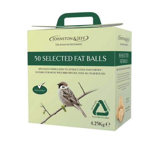 Johnston & Jeff Fatballs Refill No Nets Box x50 - North East Pet Shop Johnston & Jeff