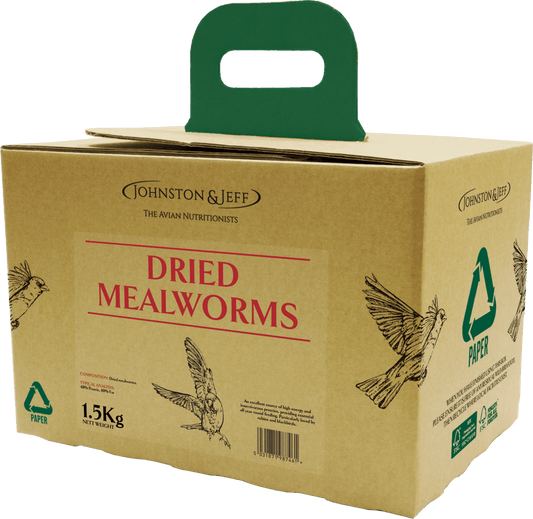 Johnston & Jeff Mealworms in EcoBox - North East Pet Shop Johnston & Jeff